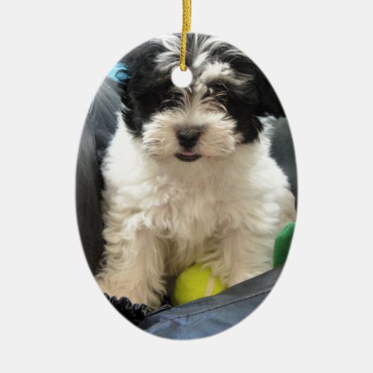 Havanese Rettungs-Welpe Schwarz-weiß Keramik Ornament (Vorne)
