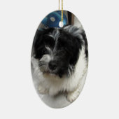 Havanese Rettungs-Welpe Schwarzweiss Keramikornament (Rechts)