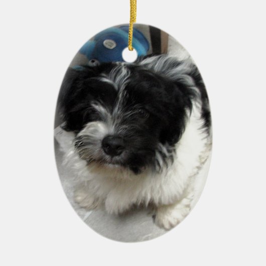 Havanese Rettungs-Welpe Schwarzweiss Keramikornament (Vorne)