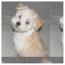 Havanese Rettungs-Welpe Stoff