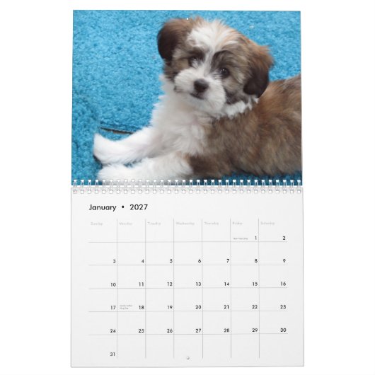 Havanese Rettungs-Welpen 2012 Kalender (Jan 2027)