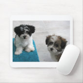 Havanese Rettungs-Welpen-Schwarz-weißes Grau Mousepad (Mit Mouse)