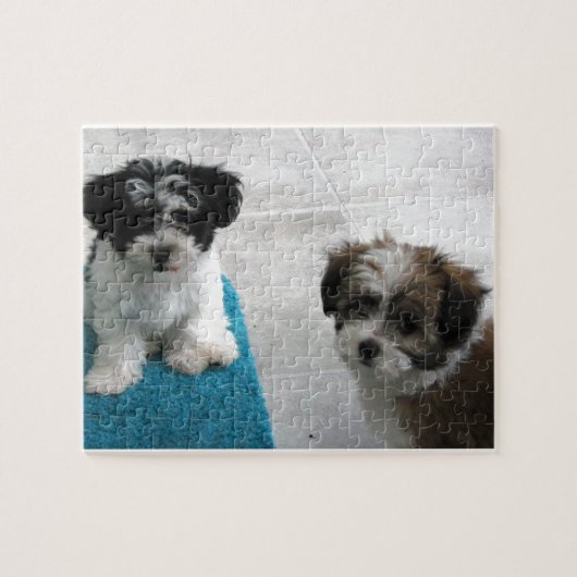Havanese Rettungs-Welpen-Schwarz-weißes Grau Puzzle (Horizontal)