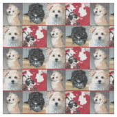 Havanese Rettungs-Welpen Stoff (Nahaufnahme)