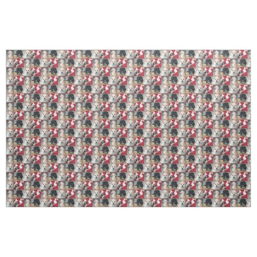 Havanese Rettungs-Welpen Stoff (Fat Quarter (45,7 x 55,9 cm))