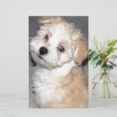 Havanese Rettungswelpe Tanweiß Briefpapier (Stehend Vorderseite)