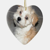 Havanese Rettungswelpe Tanweiß Keramikornament (Rechts)