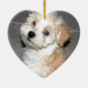 Havanese Rettungswelpe Tanweiß Keramikornament