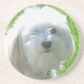 Havanese Sandstein Untersetzer (Vorne)