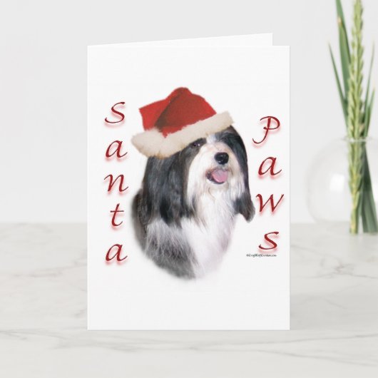 Havanese Santa Paws Feiertagskarte (Vorderseite)