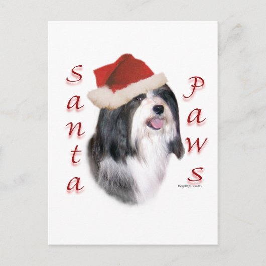 Havanese Santa Paws Feiertagspostkarte (Vorderseite)