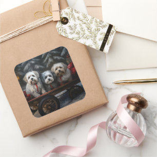 Havanese Schneeschlitten Weihnachtsdekoration  Quadratischer Aufkleber