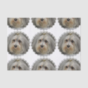 Havanese Seidenpapier
