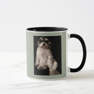 Havanese-setzen Sie das Bild Ihr Hundes hier Tasse