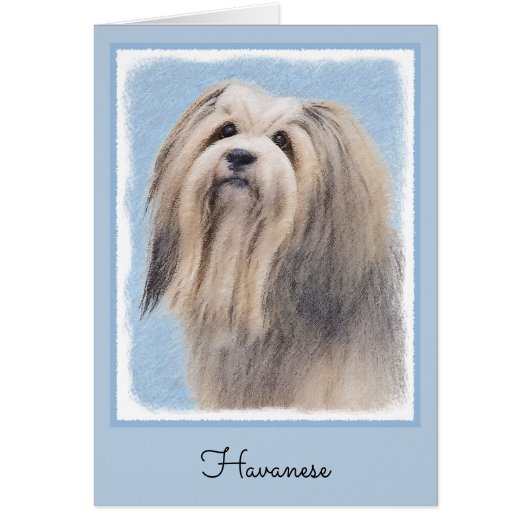 Havanese (Silber) Malerei - Niedliche Original Hun (Vorne)