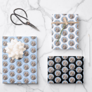Havanese (Silber) Malerei - Niedliche Original Hun Geschenkpapier Set