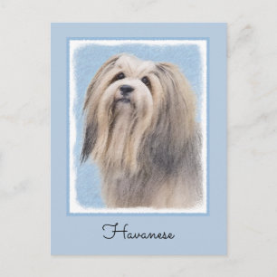 Havanese (Silber) Malerei - Niedliche Original Hun Postkarte