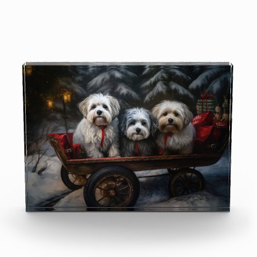 Havanese Snowy Sleigh Weihnachtsdekor Fotoblock (Vorderseite)