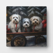 Havanese Snowy Sleigh Weihnachtsdekor Fotoplatte (Vorderseite)