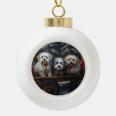 Havanese Snowy Sleigh Weihnachtsdekor Keramik Kugel-Ornament (Vorderseite)