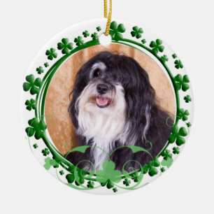 Havanese St Patrick Tagesverzierung Keramikornament