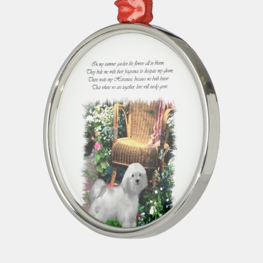Havanese Summer Garden Silbernes Ornament (Links)