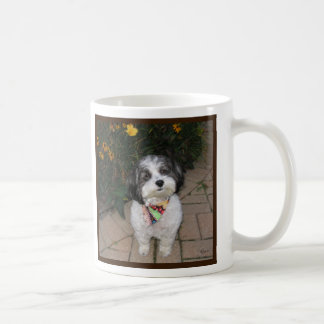 Havanese Tasse mit Blumen
