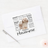 Havanese Tracks Stickers (Umschlag)