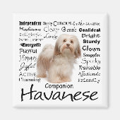 Havanese Traits Magnet (Vorne)