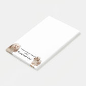 Havanese-Vater nach der Veröffentlichung Post-it Klebezettel (angewinkelt)