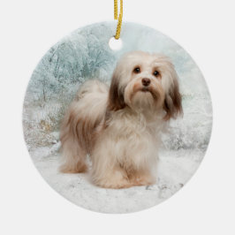 Havanese Verzierung Keramik Ornament