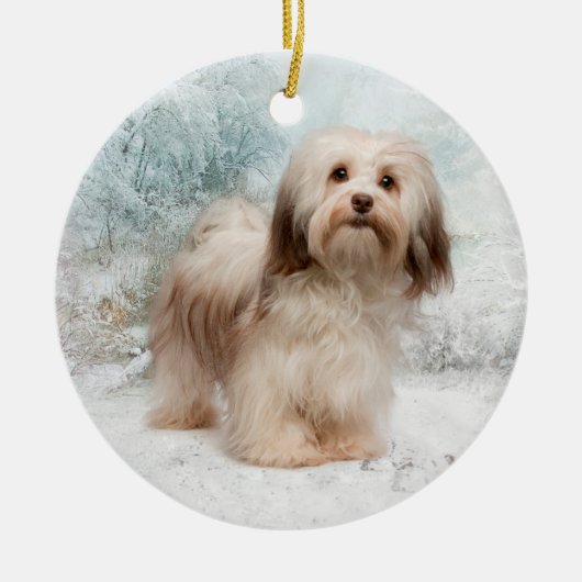 Havanese Verzierung Keramik Ornament (Vorne)