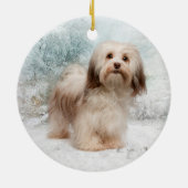 Havanese Verzierung Keramik Ornament (Hinten)