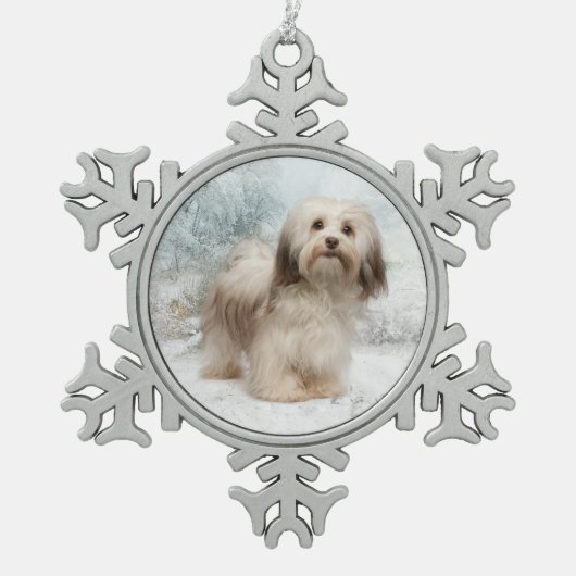 Havanese Verzierung Schneeflocken Zinn-Ornament (Vorderseite)