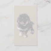 Havanese Visitenkarte (Rückseite)