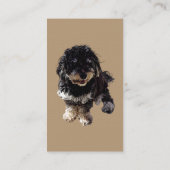 Havanese Visitenkarte (Rückseite)
