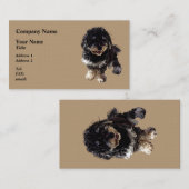Havanese Visitenkarte (Vorne/Hinten)