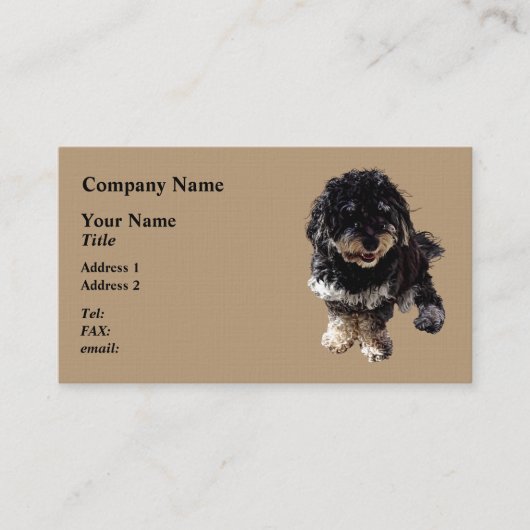 Havanese Visitenkarte (Vorderseite)