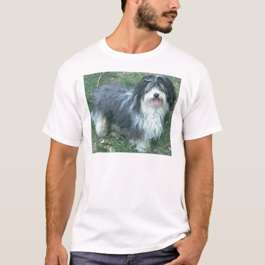 havanese volles T-Shirt (Vorderseite)