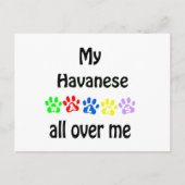 Havanese Walks Design Postkarte (Vorderseite)
