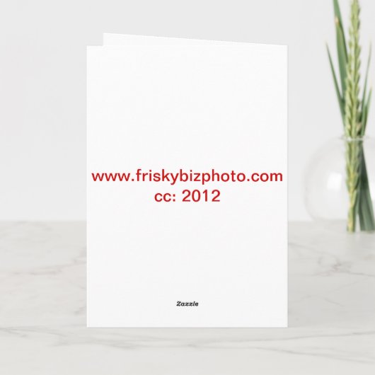 Havanese Weihnachten (Rückseite)