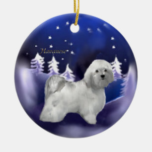 Havanese Weihnachtsgeschenk-Verzierung Keramik Ornament