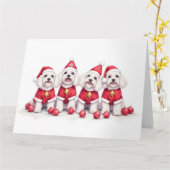 Havanese-Weihnachtskleid mit Santa-Hut Karte (Gelbe Blume)