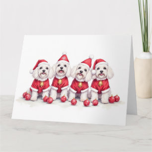 Havanese-Weihnachtskleid mit Santa-Hut Karte