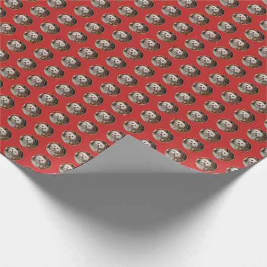 Havanese WeihnachtsPackpapier Geschenkpapier (Ecke)