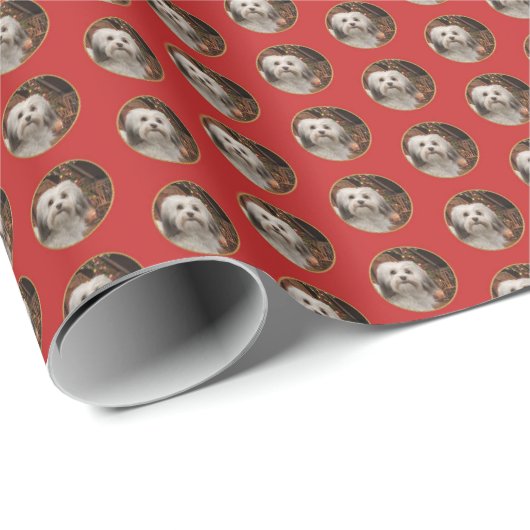 Havanese WeihnachtsPackpapier Geschenkpapier (Rolleneckpunkt)