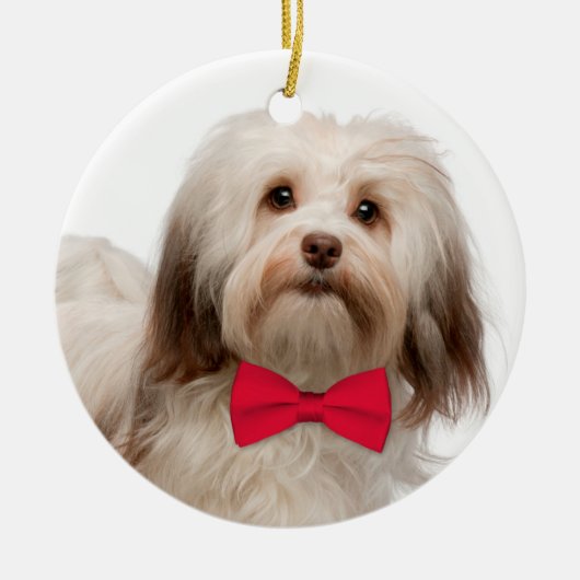 Havanese Weihnachtsverzierung Keramikornament (Vorne)