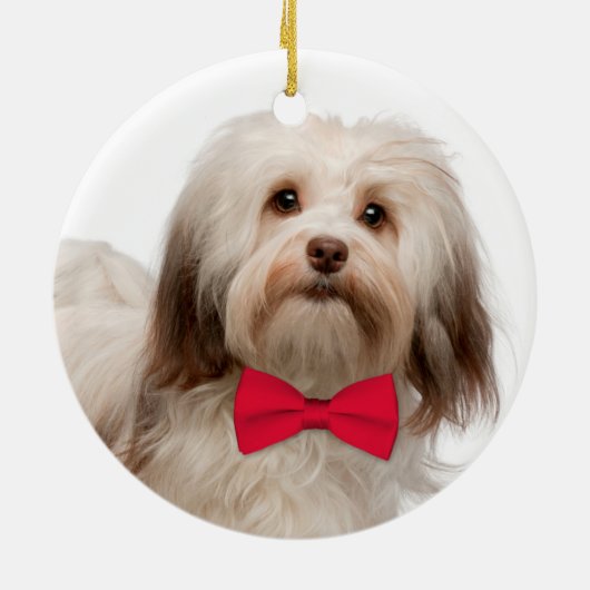 Havanese Weihnachtsverzierung Keramikornament (Hinten)