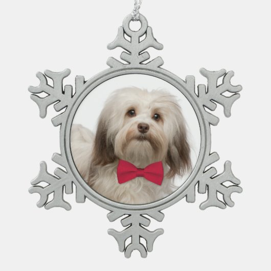 Havanese Weihnachtsverzierung Schneeflocken Zinn-Ornament (Vorderseite)