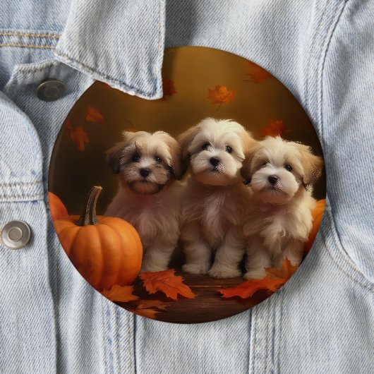 Havanese Welpe Autumn Delight Pumpkin Button (Beispiel)